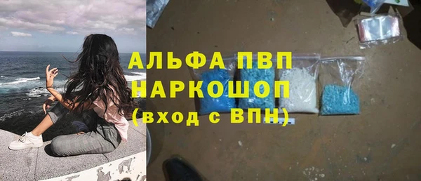спиды Богородск
