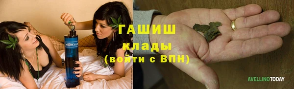 сатива Белоозёрский