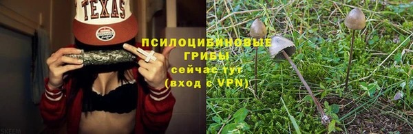 MESCALINE Богородицк