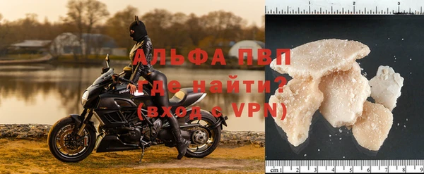 твердый Богданович