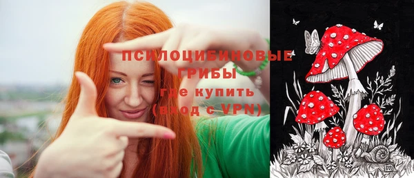 сатива Белоозёрский