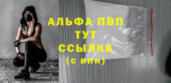 твердый Богданович
