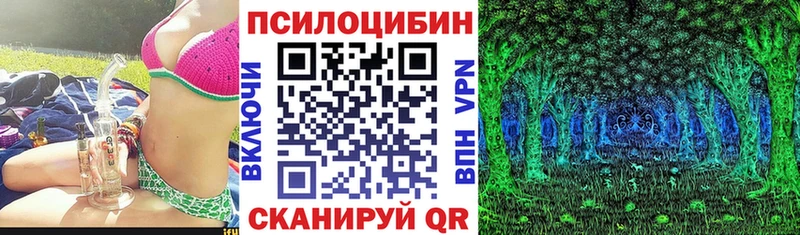 Псилоцибиновые грибы Cubensis  Горячий Ключ 
